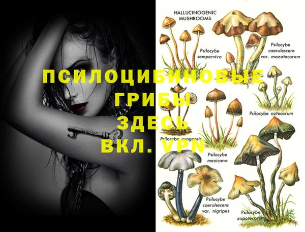 ПСИЛОЦИБИНОВЫЕ ГРИБЫ Корсаков