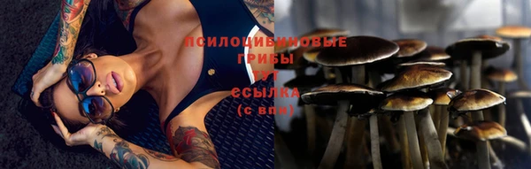 ПСИЛОЦИБИНОВЫЕ ГРИБЫ Корсаков