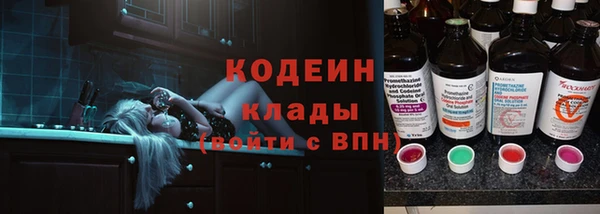 ПСИЛОЦИБИНОВЫЕ ГРИБЫ Корсаков
