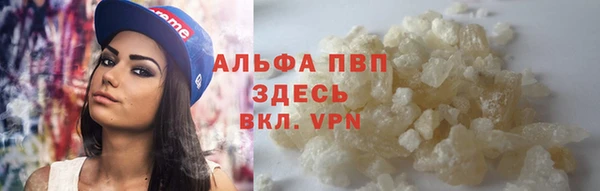 ПСИЛОЦИБИНОВЫЕ ГРИБЫ Корсаков