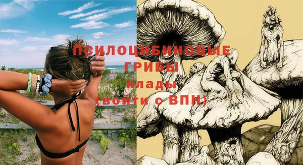 соль курить ск Коряжма