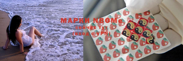 ПСИЛОЦИБИНОВЫЕ ГРИБЫ Корсаков