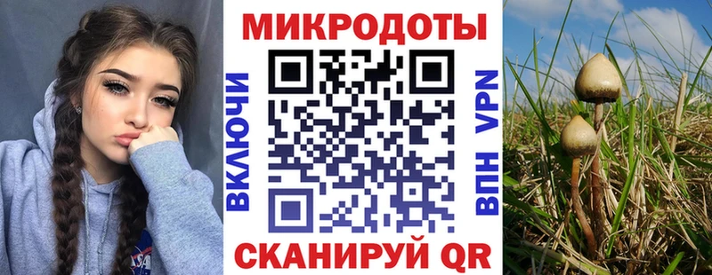мега tor  Шахты  Псилоцибиновые грибы ЛСД  как найти закладки 