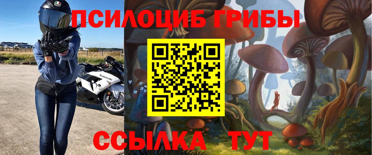 Шахты  Псилоцибиновые грибы MAGIC MUSHROOMS  Галлюциногенные грибы MAGIC MUSHROOMS  где продают наркотики  Вход с VPN 